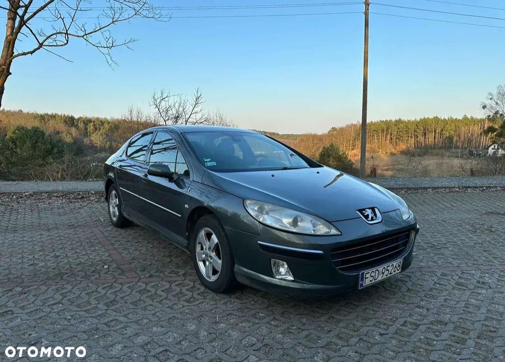 Peugeot 407 2.0 HDi Premium - 13