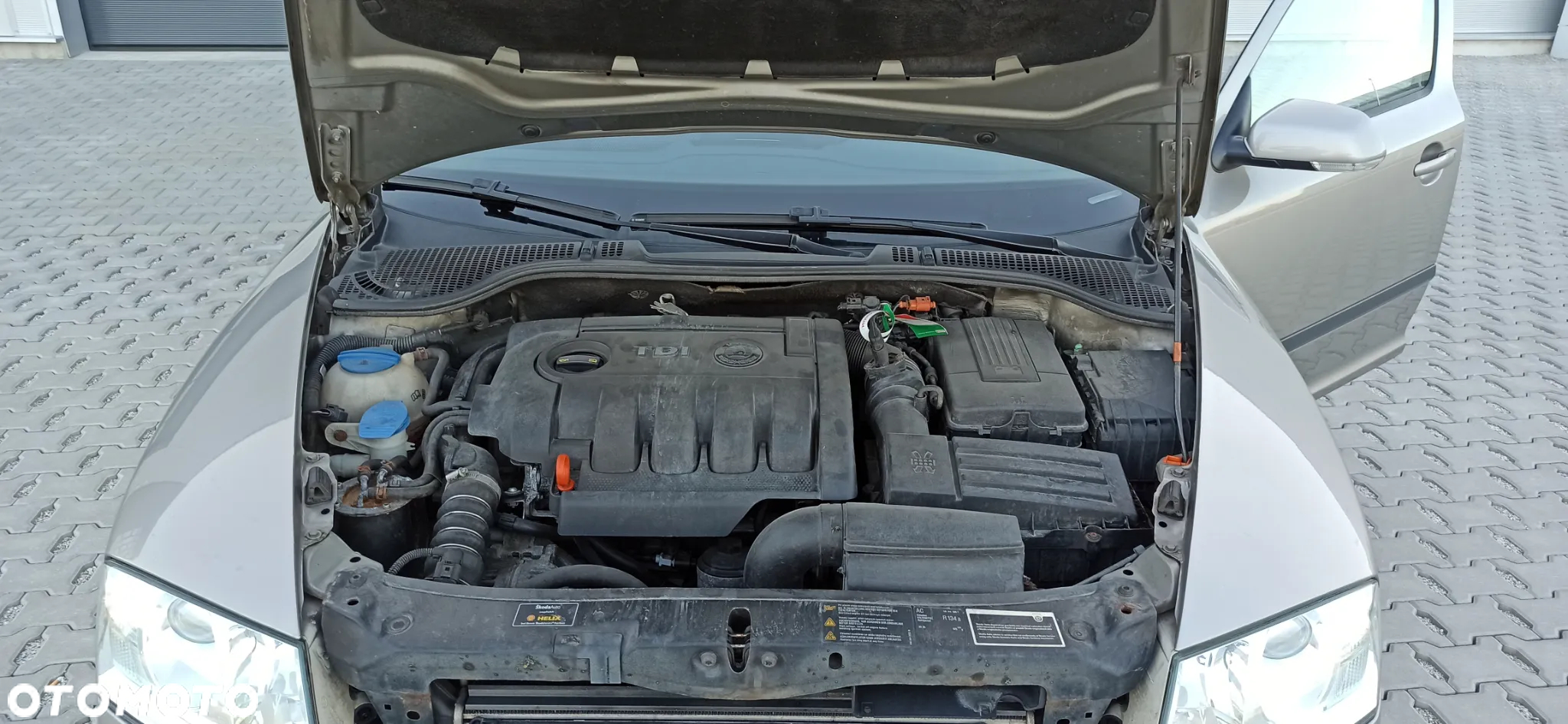 Skoda Octavia Scout 2.0 TDI DPF - 10