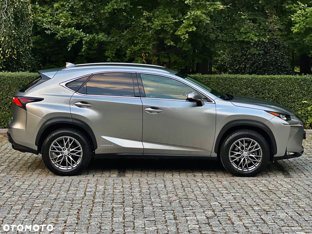 Lexus NX 300h Comfort AWD - 20