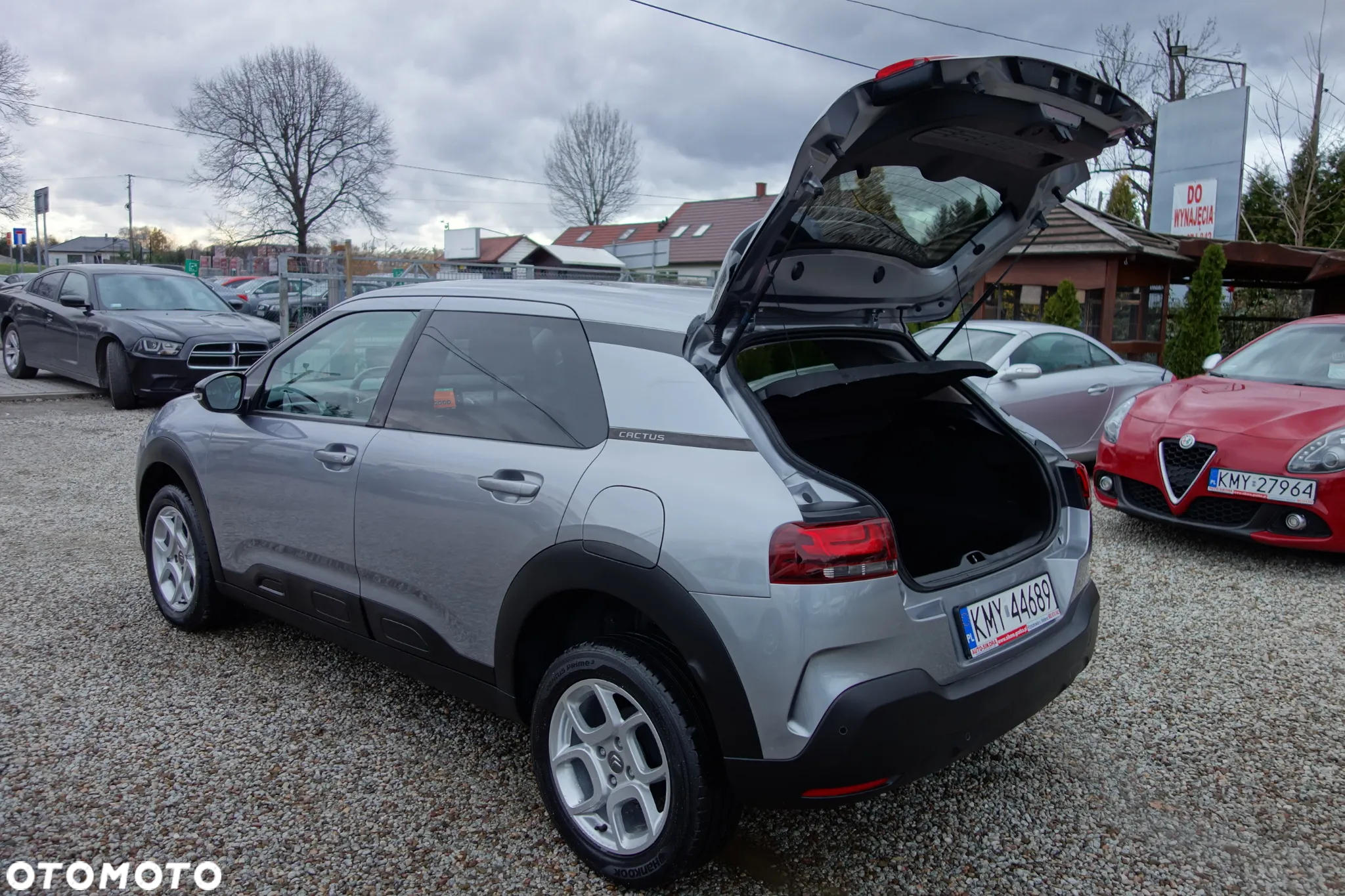 Citroën C4 Cactus 1.5 BlueHDi Feel - 20