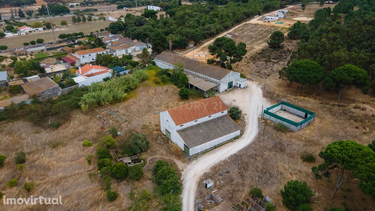 Quinta dos Batudes Palmela - Grande imagem: 5/20