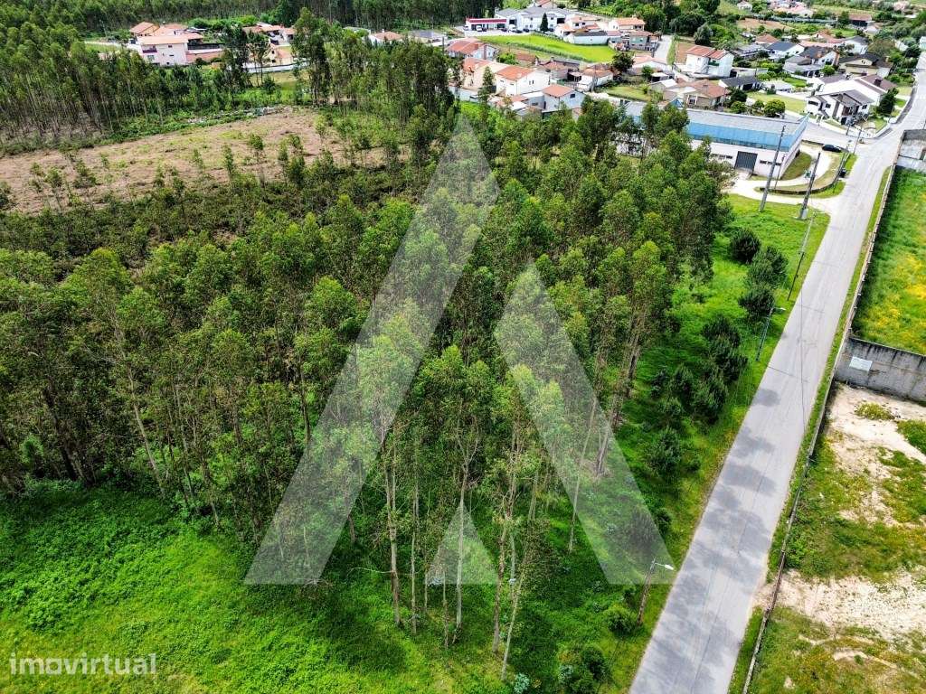 Terreno para construção de armazém industrial - Grande imagem: 2/23