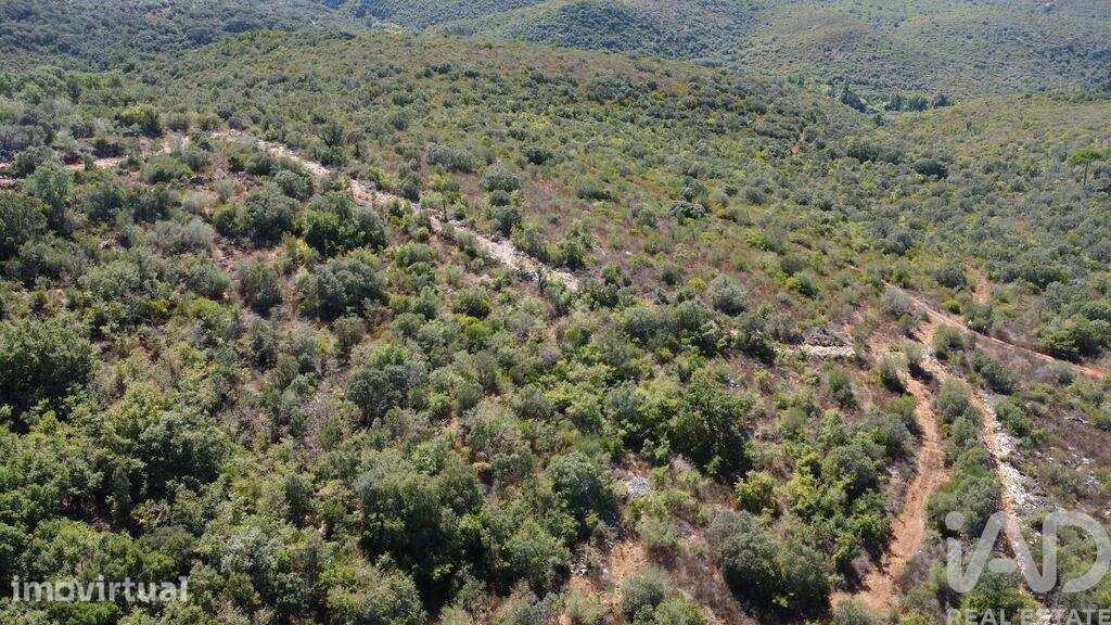Terreno em Freixianda, Ribeira do Fárrio e Formigais de 15939,00 m2 - Grande imagem: 5/16