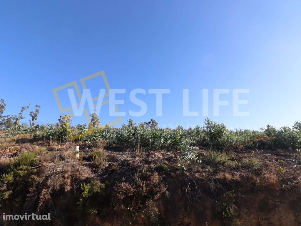 Terreno Rústico 3810m2 e viabilidade de construção, excelente orien... - Grande imagem: 5/14