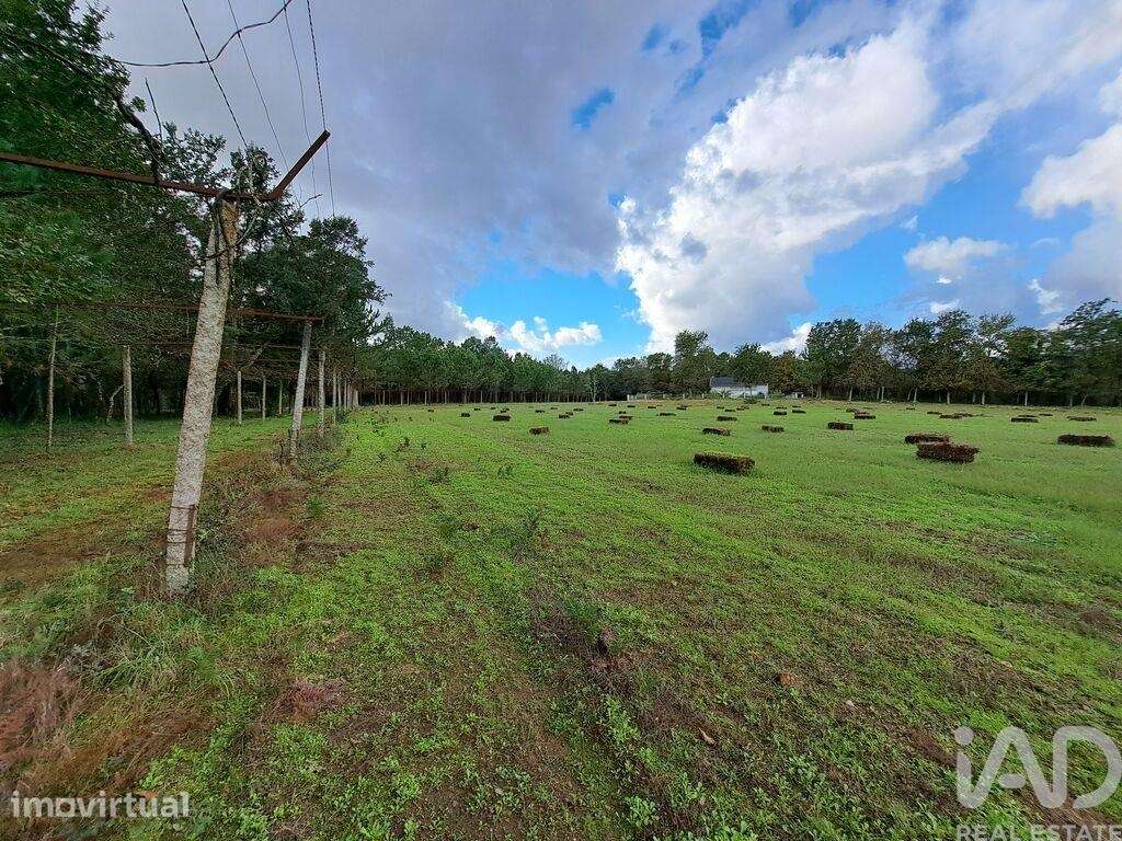 Terreno em Palmeira de 36000,00 m2 - Grande imagem: 3/21