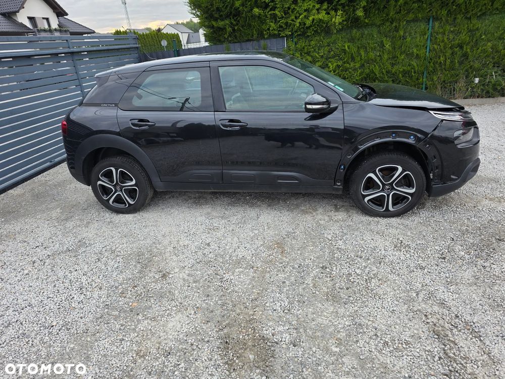 Citroën C4 Cactus BlueHDi 100 Stop&Start Shine - 5