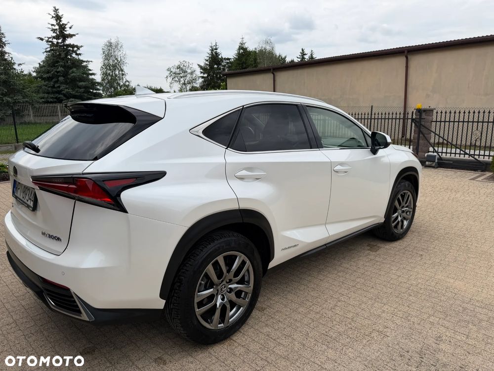 Lexus NX 300h Elegance Optimum AWD - 6