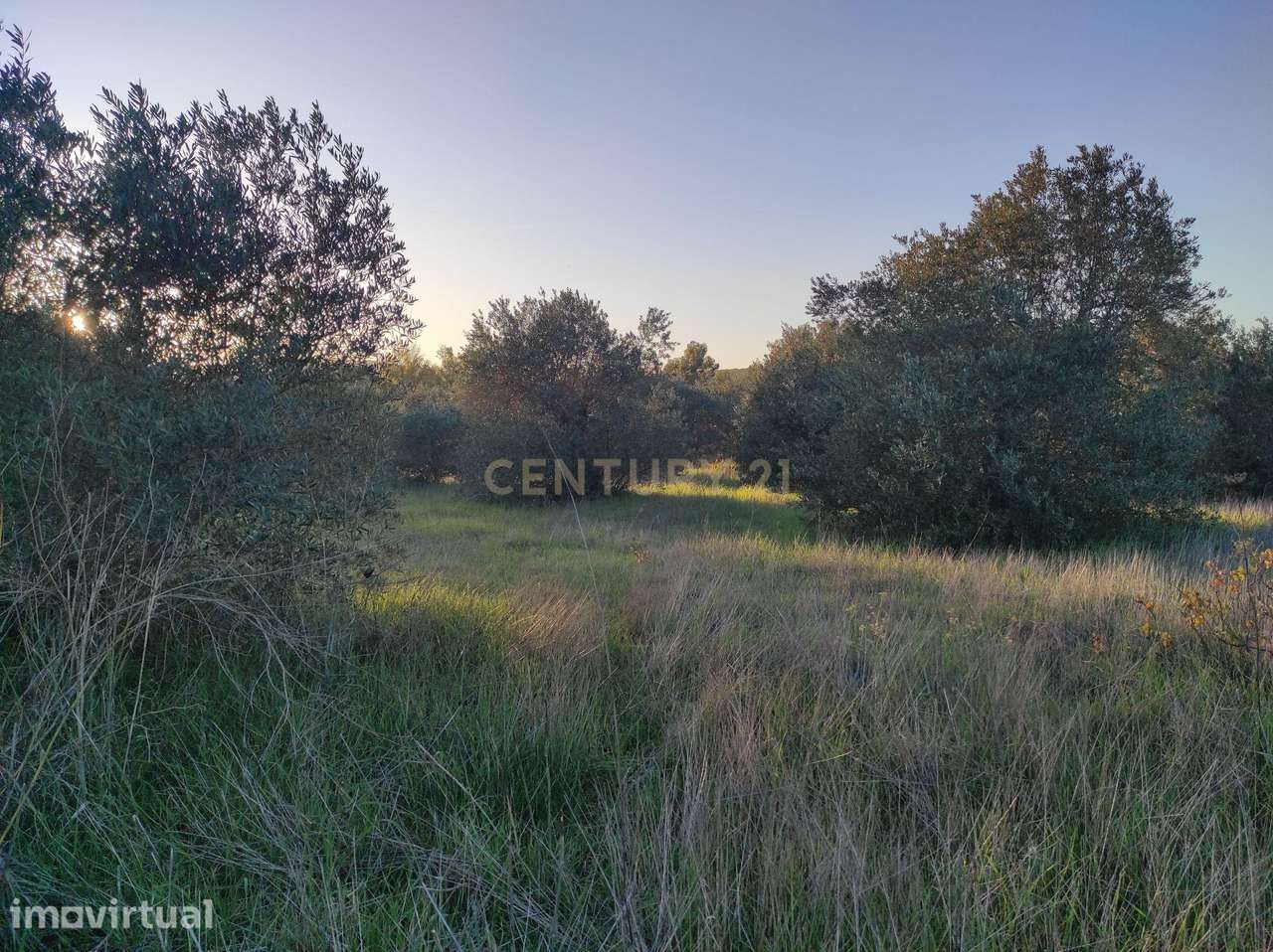 Terreno na Godinha - Campo Maior - Grande imagem: 5/5