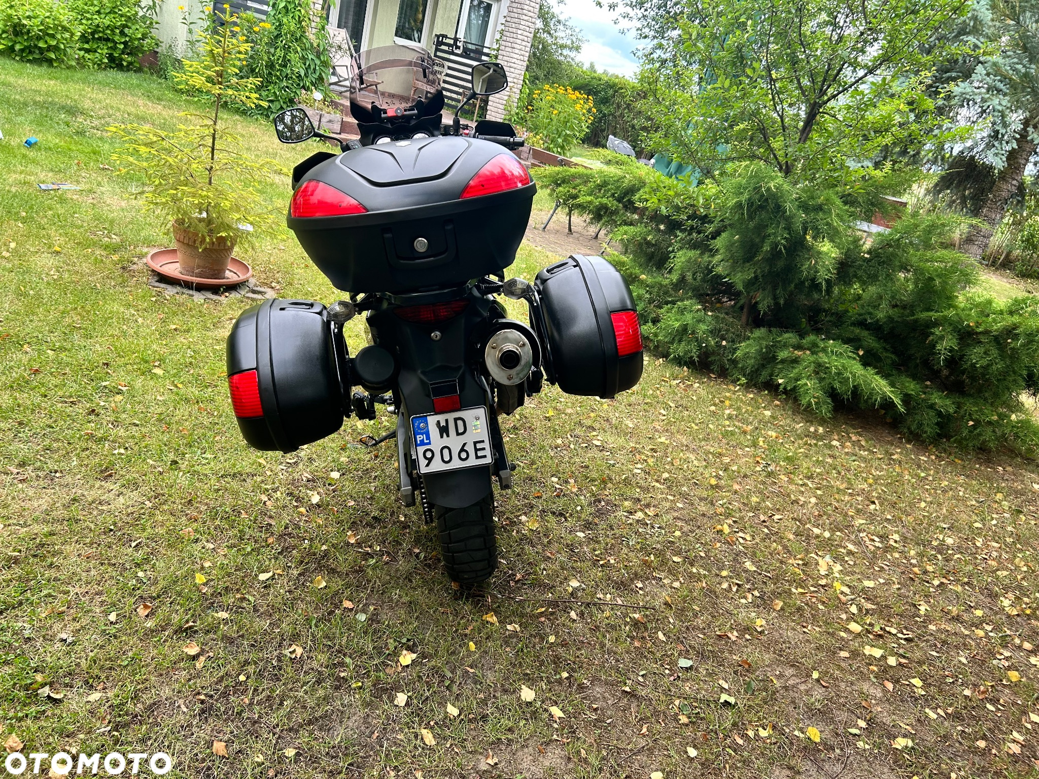 Suzuki DL - 22