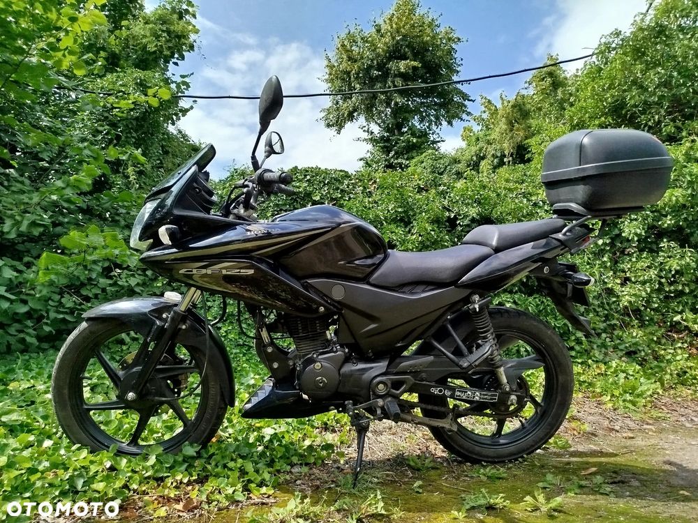 Honda CBF - 8