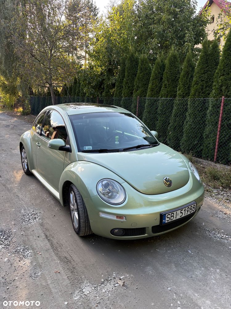 Volkswagen New Beetle 1.8T - 19