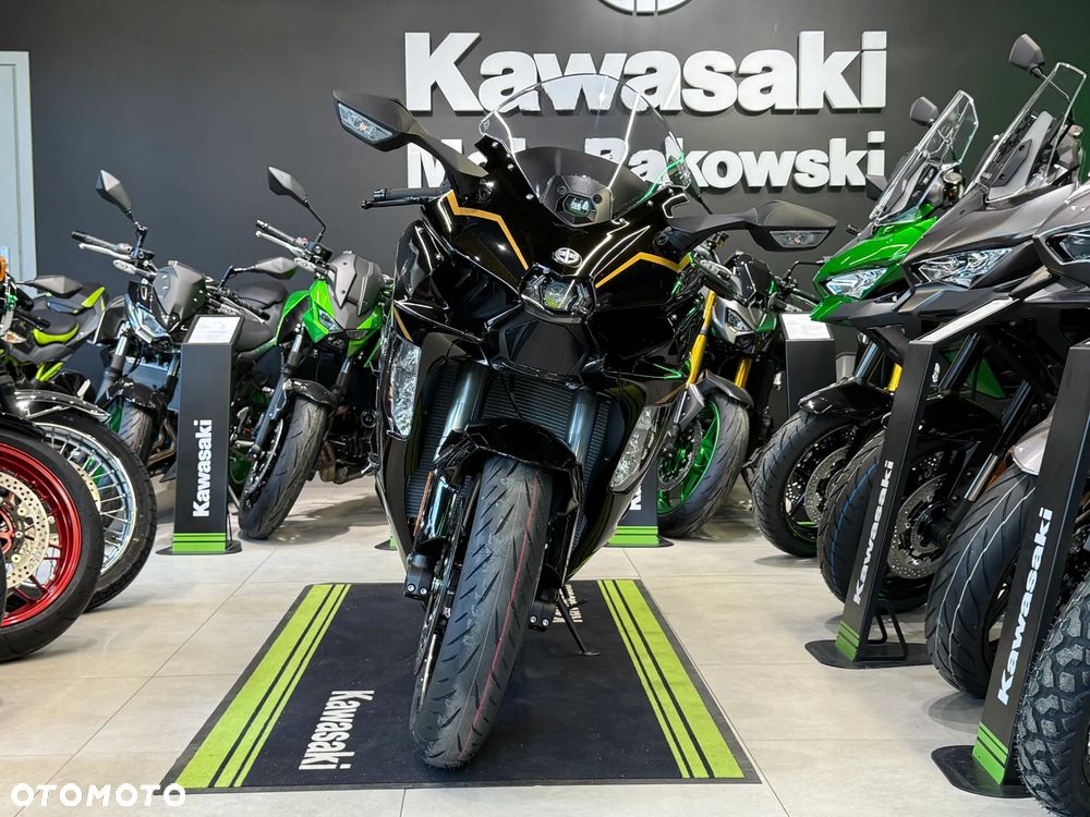 Kawasaki Ninja H2 SX - 10