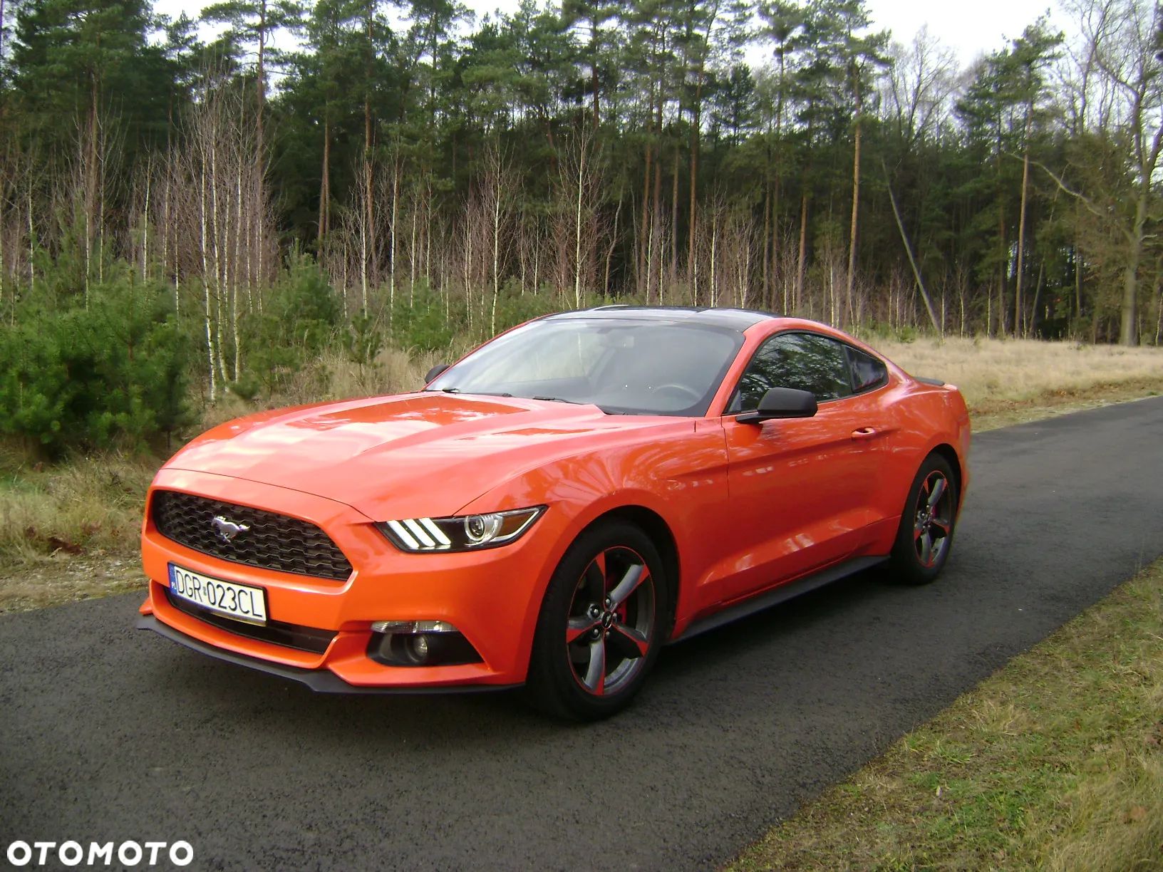 Ford Mustang 3.7 V6 - 1