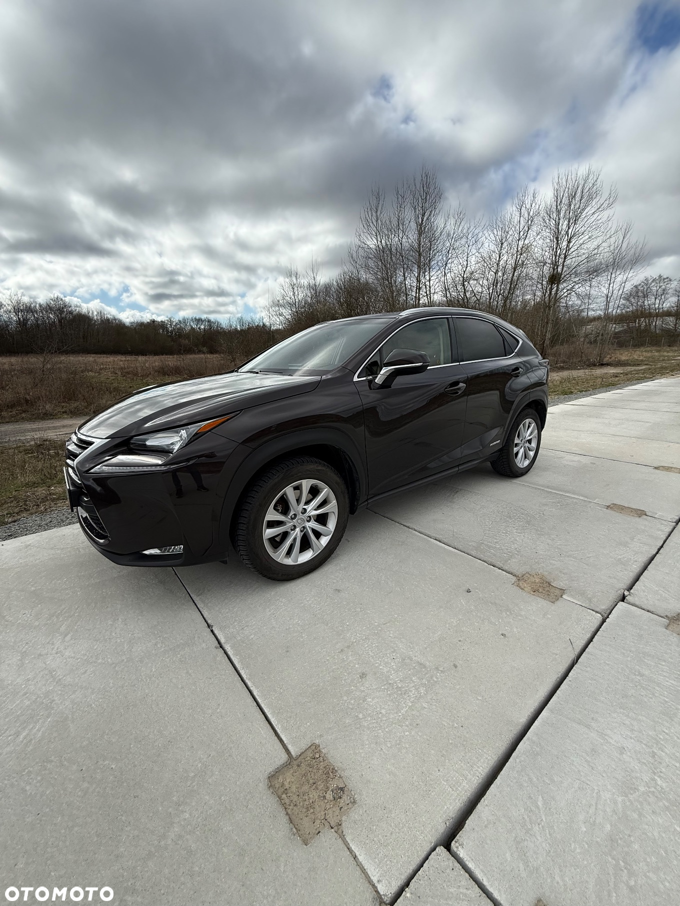 Lexus NX - 9