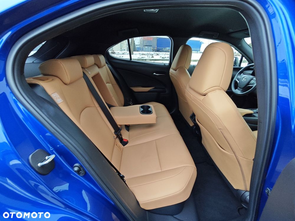 Lexus UX 250h GPF F Sport Design+ 2WD - 13