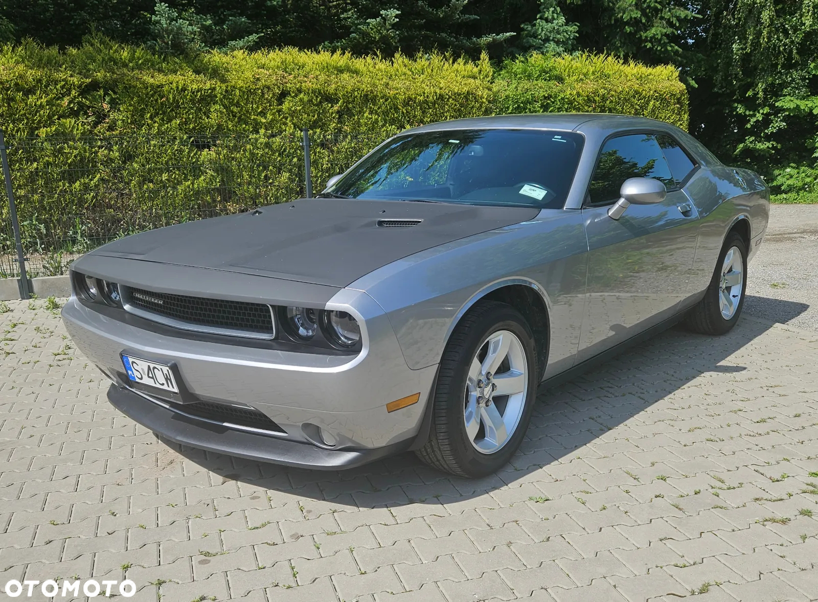 Dodge Challenger Automatik SXT Plus - 6