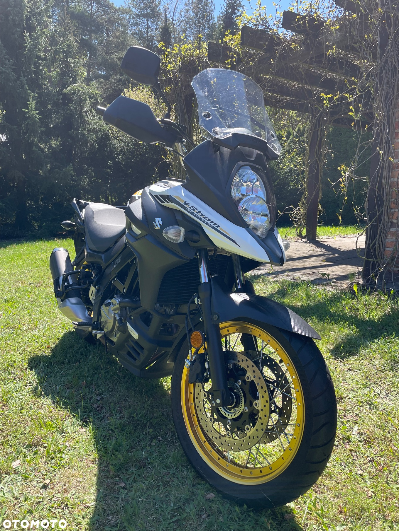 Suzuki DL