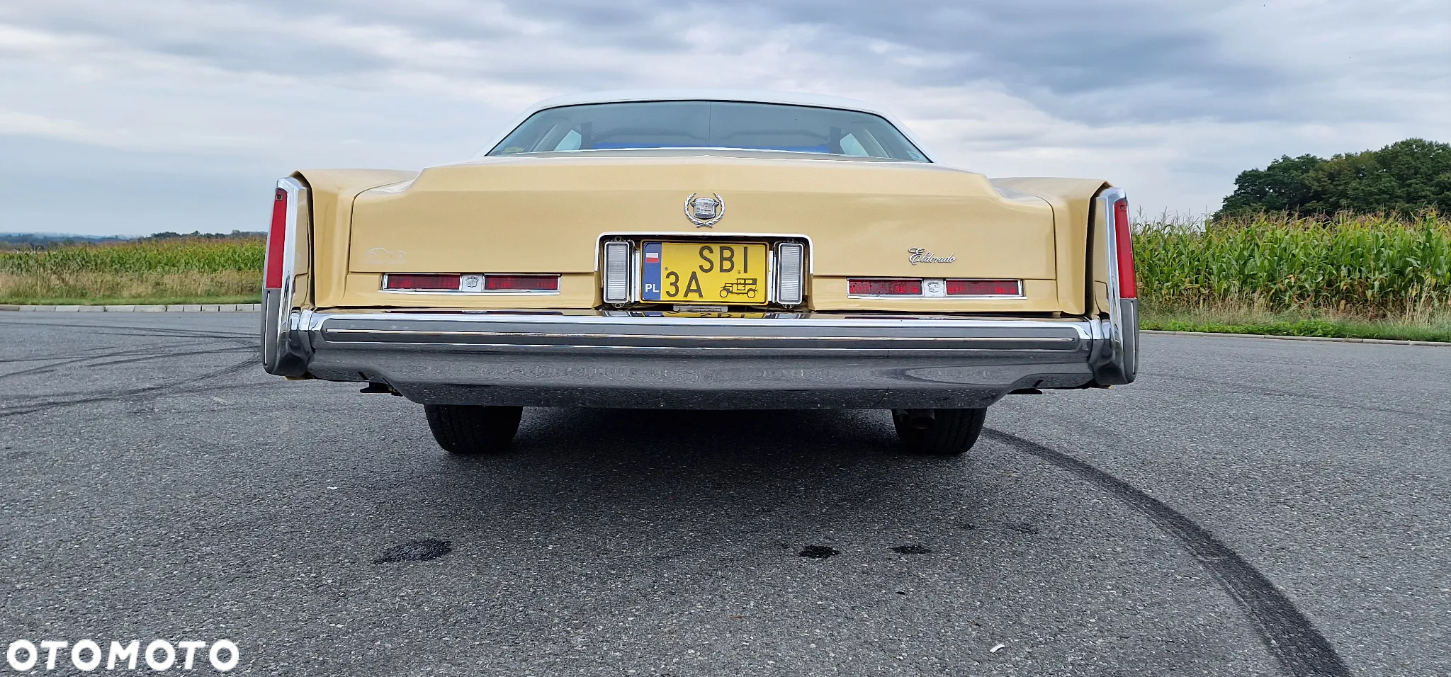 Cadillac Eldorado - 4