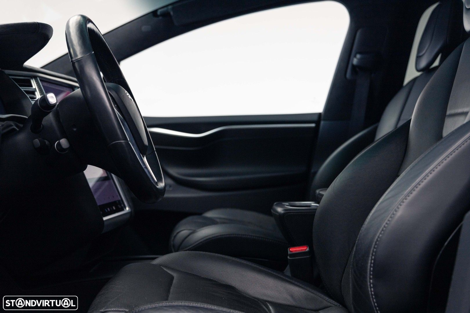 Tesla Model X P100D - 20