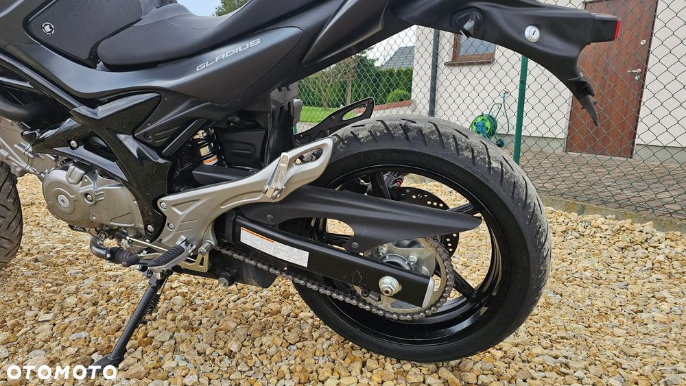 Suzuki Gladius - 22