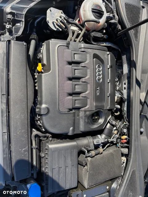Audi A3 1.6 TDI clean diesel Attraction - 24