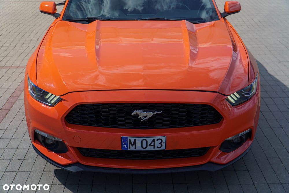 Ford Mustang 2.3 EcoBoost - 5