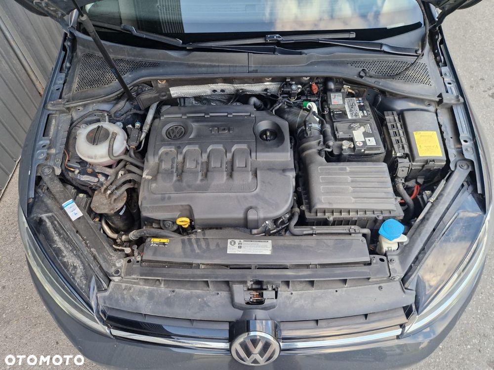 Volkswagen Golf - 25