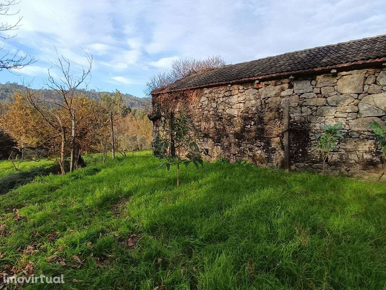 Moradia em granito – Oliveira de Frades - Grande imagem: 4/13