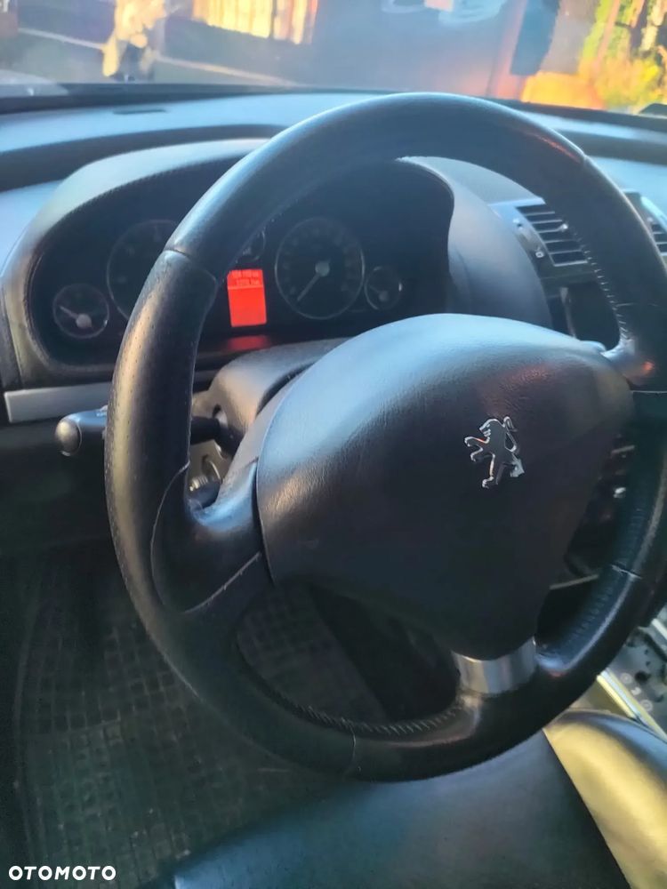 Peugeot 407 - 5