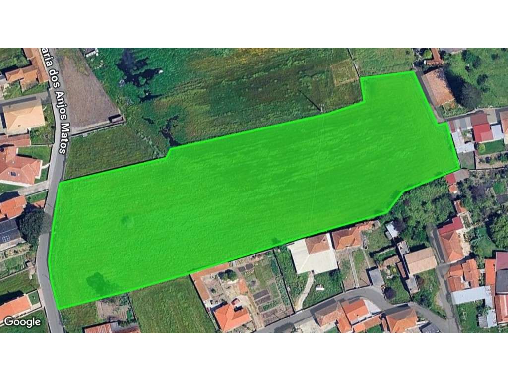 TERRENO NA MURTOSA - Grande imagem: 2/3