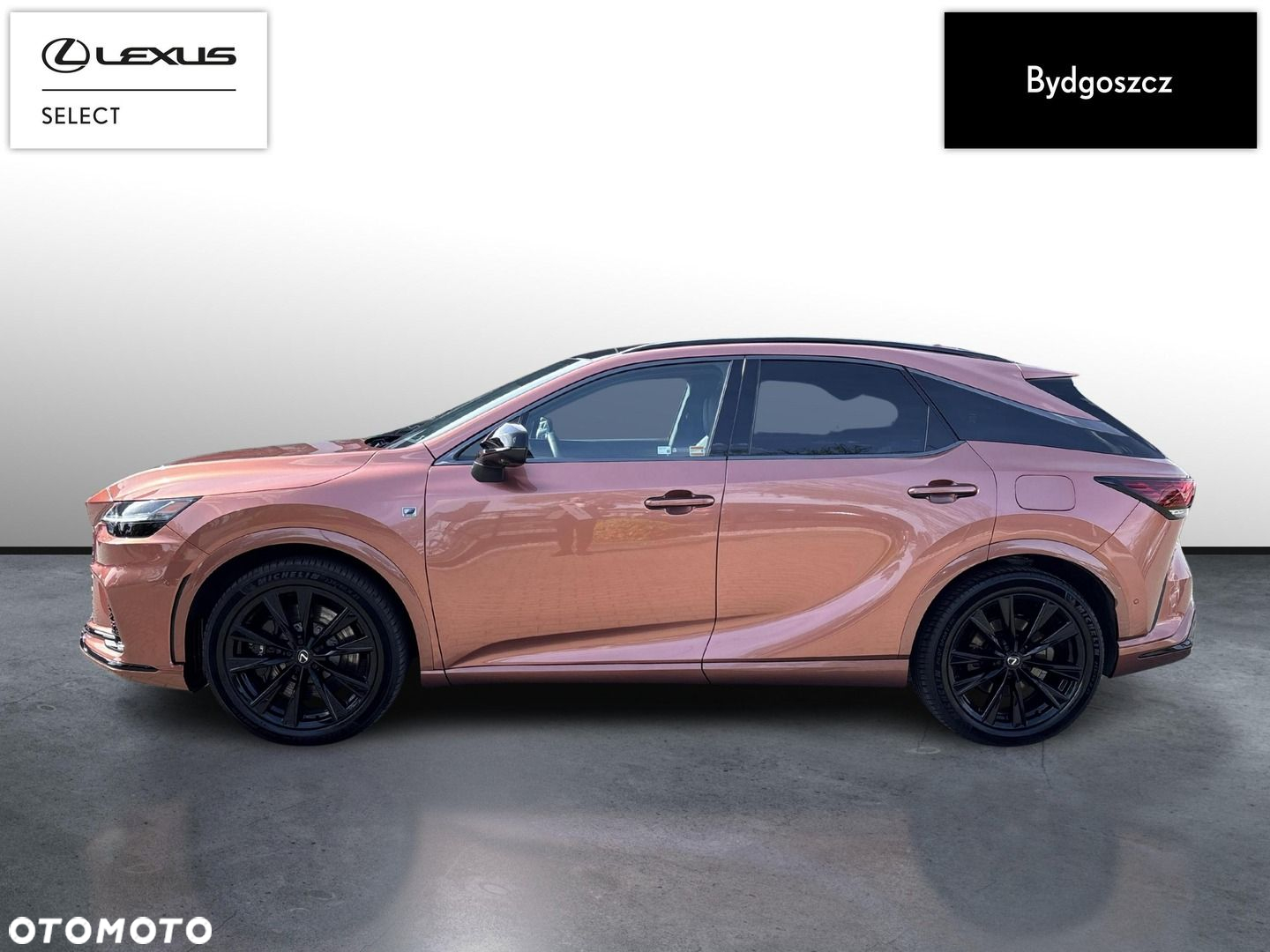 Lexus RX - 7