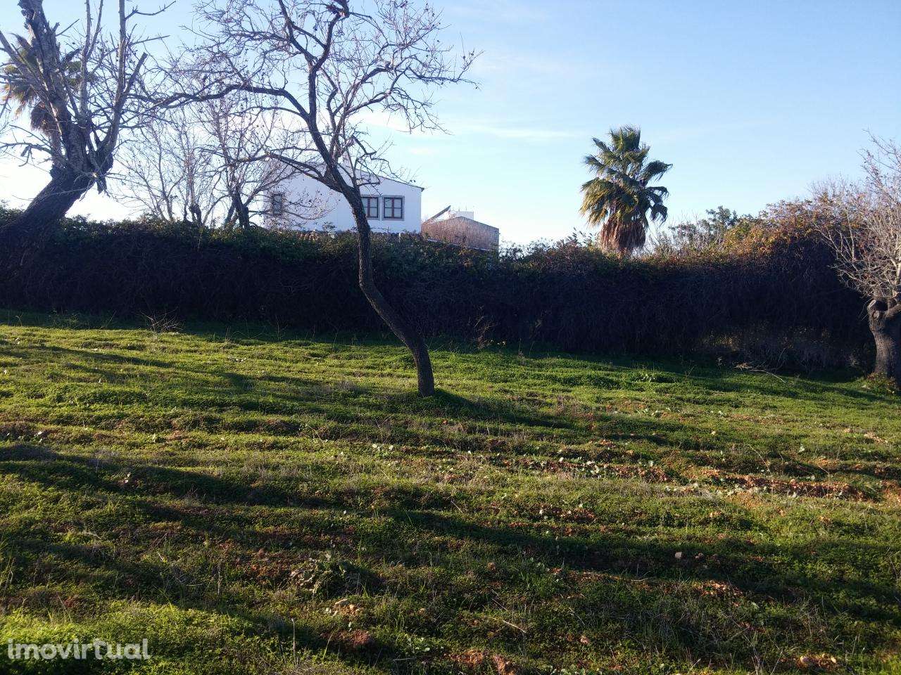 Terreno Rustico C/ 1640M2 Pechão C/ Vista Mar - Grande imagem: 2/5