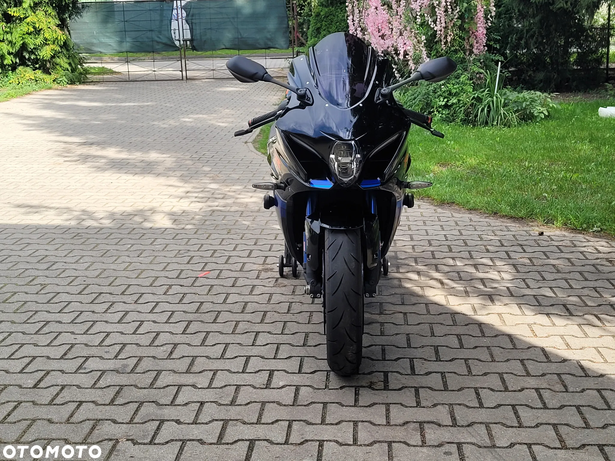 Suzuki GSX-R - 4