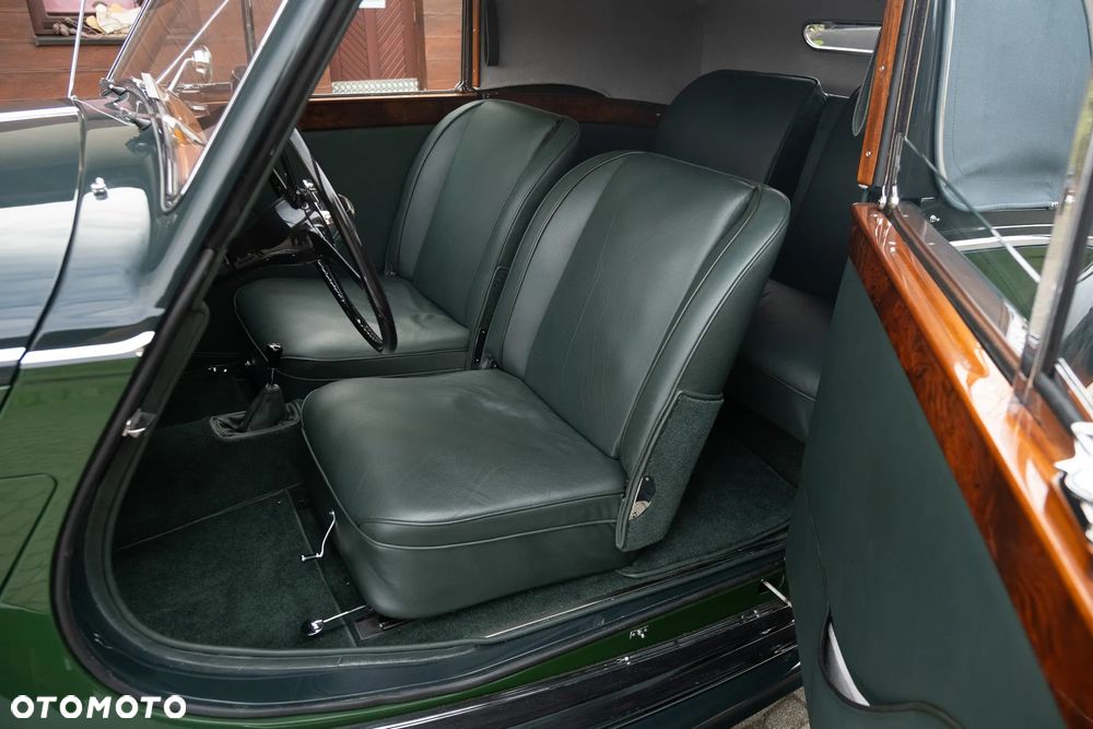 Jaguar Inny - 27