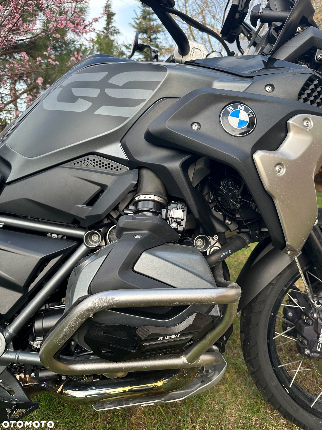 BMW R