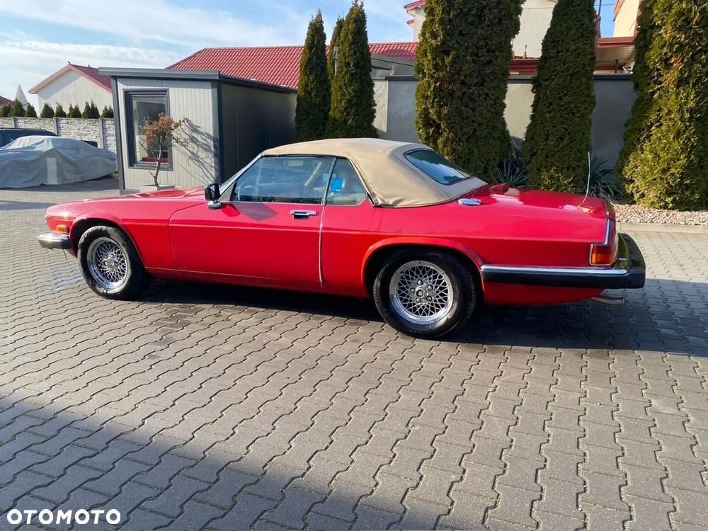 Jaguar XJS - 7