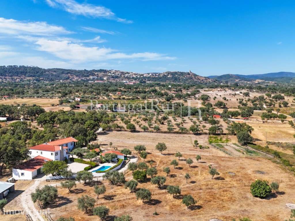 Quinta Equestre com 8 Hectares e Olival Tradicional na Beira Baixa - Grande imagem: 2/60