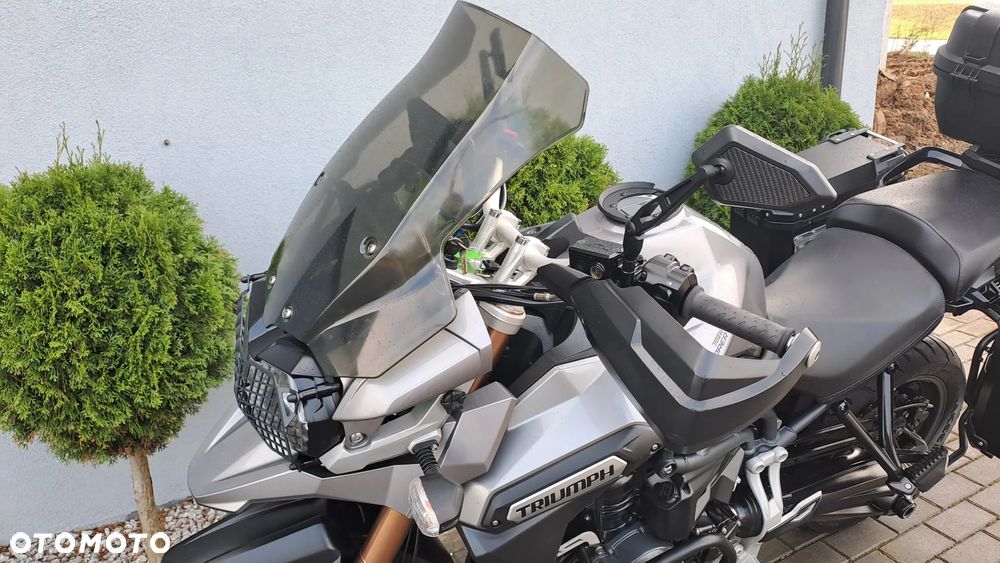 Triumph Tiger - 30