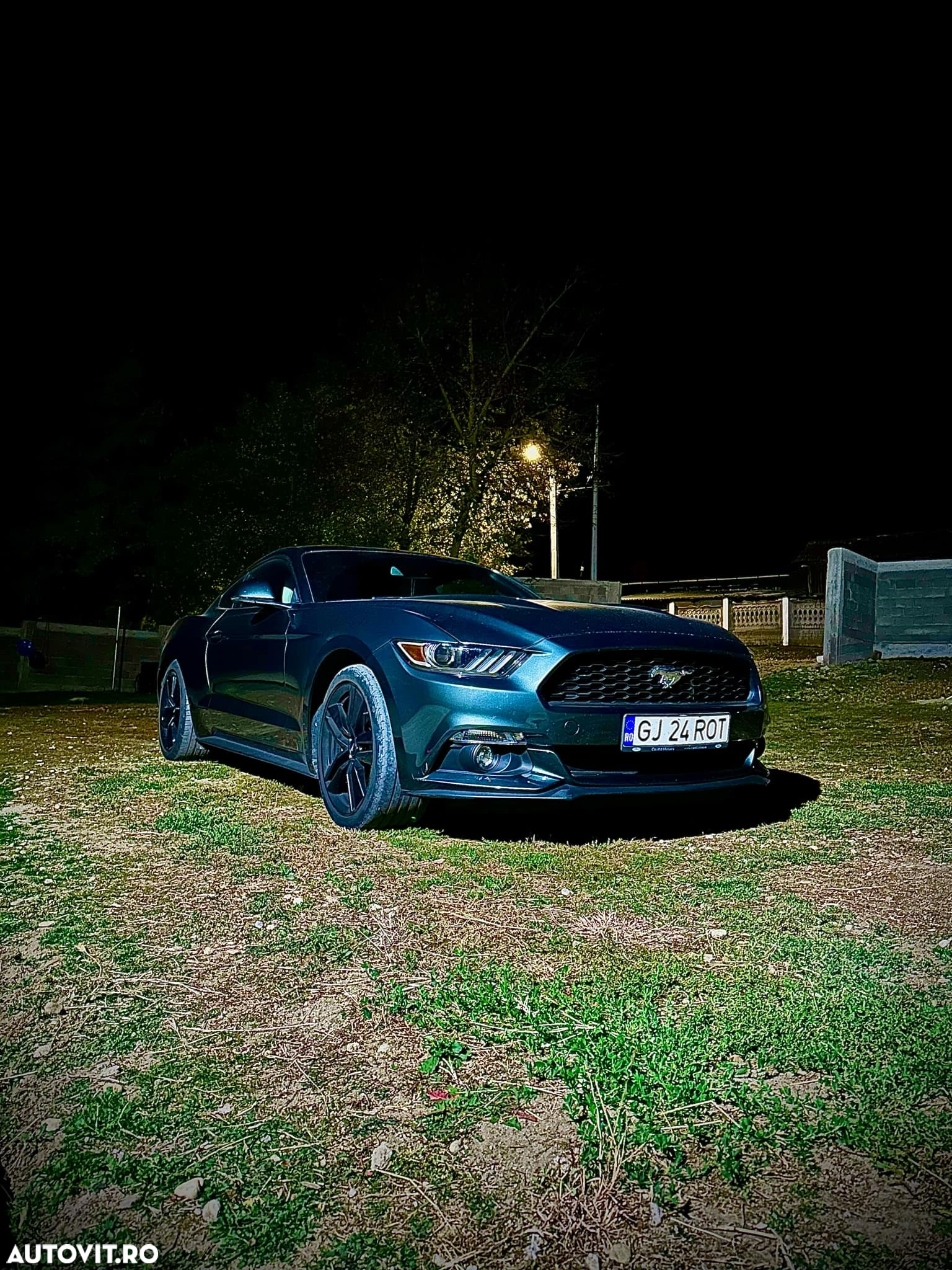 Ford Mustang 2.3 EcoBoost - 2