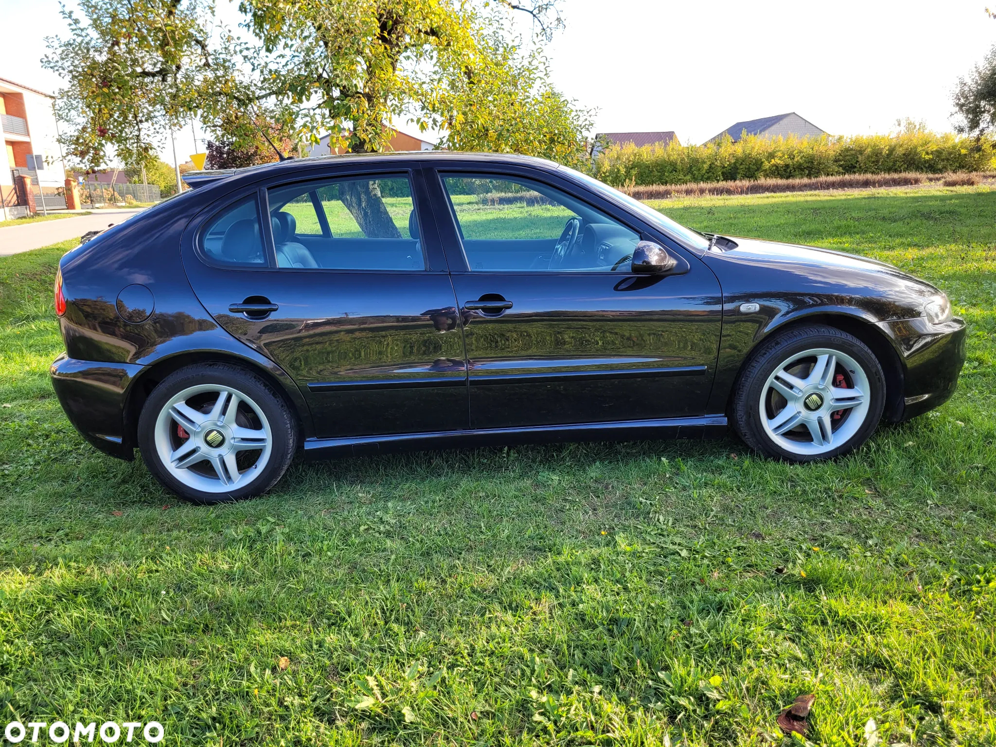 Seat Leon 1.8T Top Sport 4x4 - 14