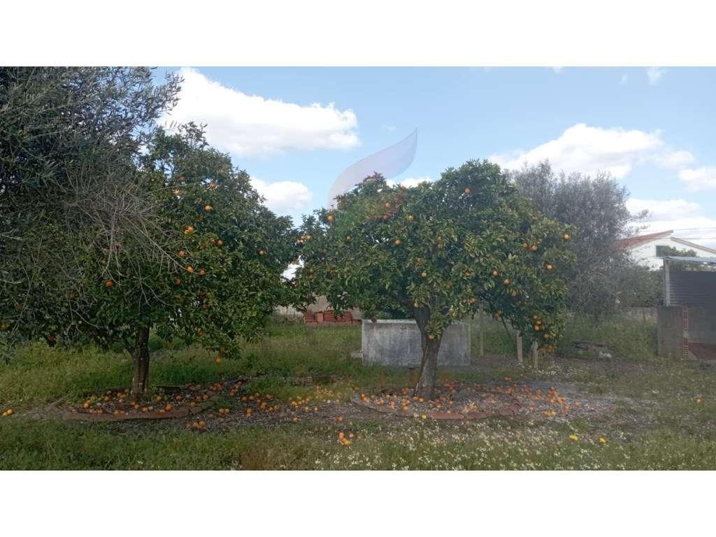 Terreno para construção - Grande imagem: 2/16