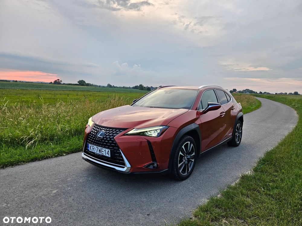 Lexus UX 250h GPF Omotenashi AWD - 14
