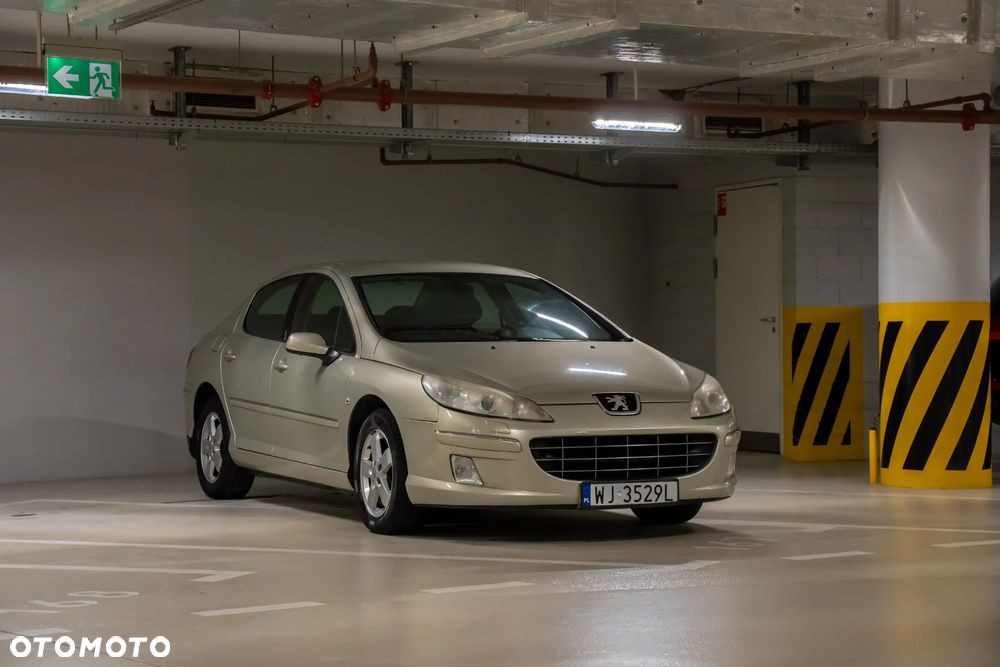 Peugeot 407 - 15