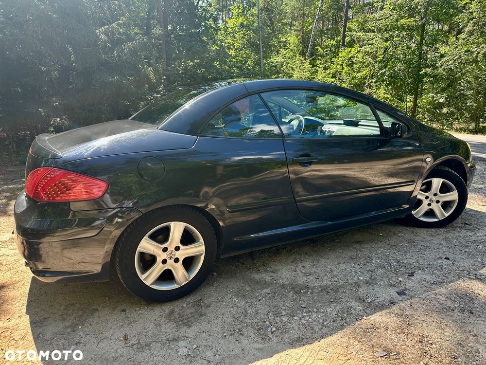 Peugeot 307 - 5