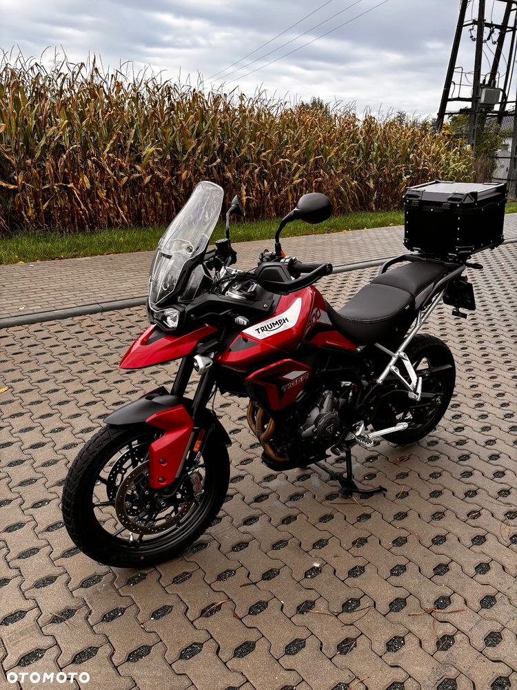 Triumph Tiger - 9