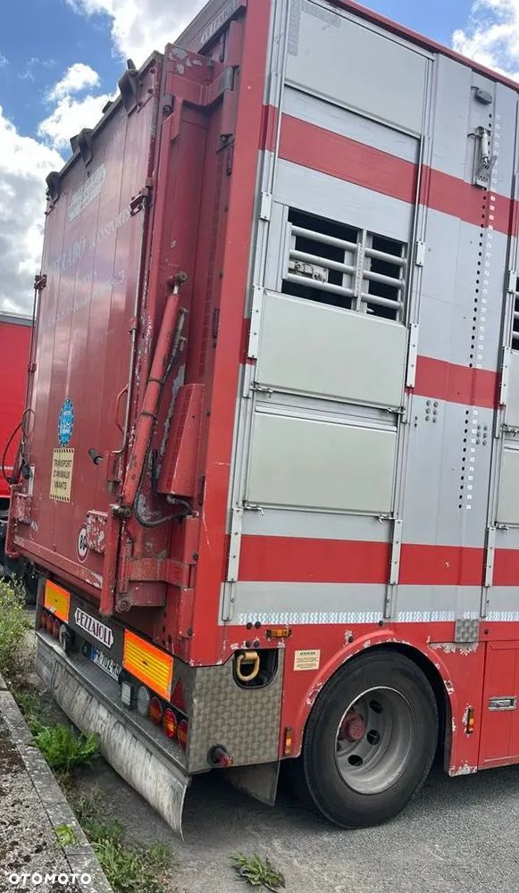 DAF XF 530 + Przyczepa Pezzaoli - 3X Trzoda, 2 X Bydło I 3 poziomy I Podnoszony dach I Hydroburta I Osie Skrętne I Poidła I Wentylatory I Pilot Manualny | - 5