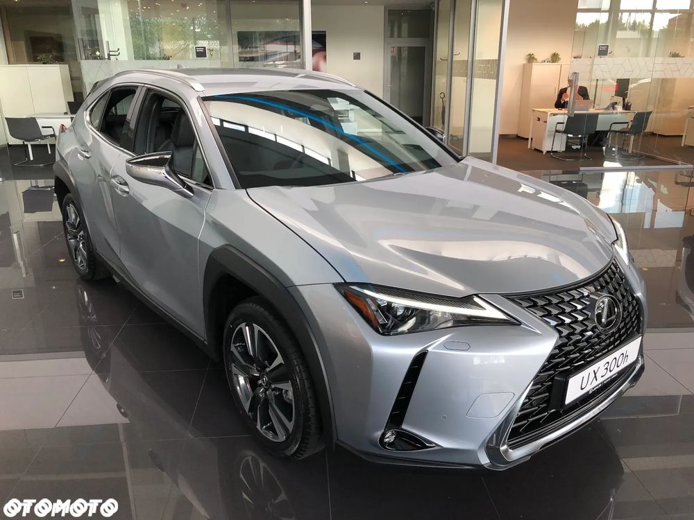 Lexus UX 300h Business