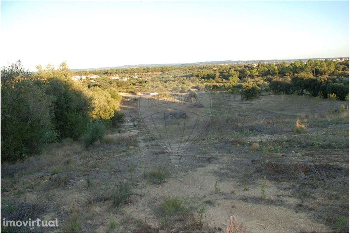 Terreno rústico - Grande imagem: 4/4