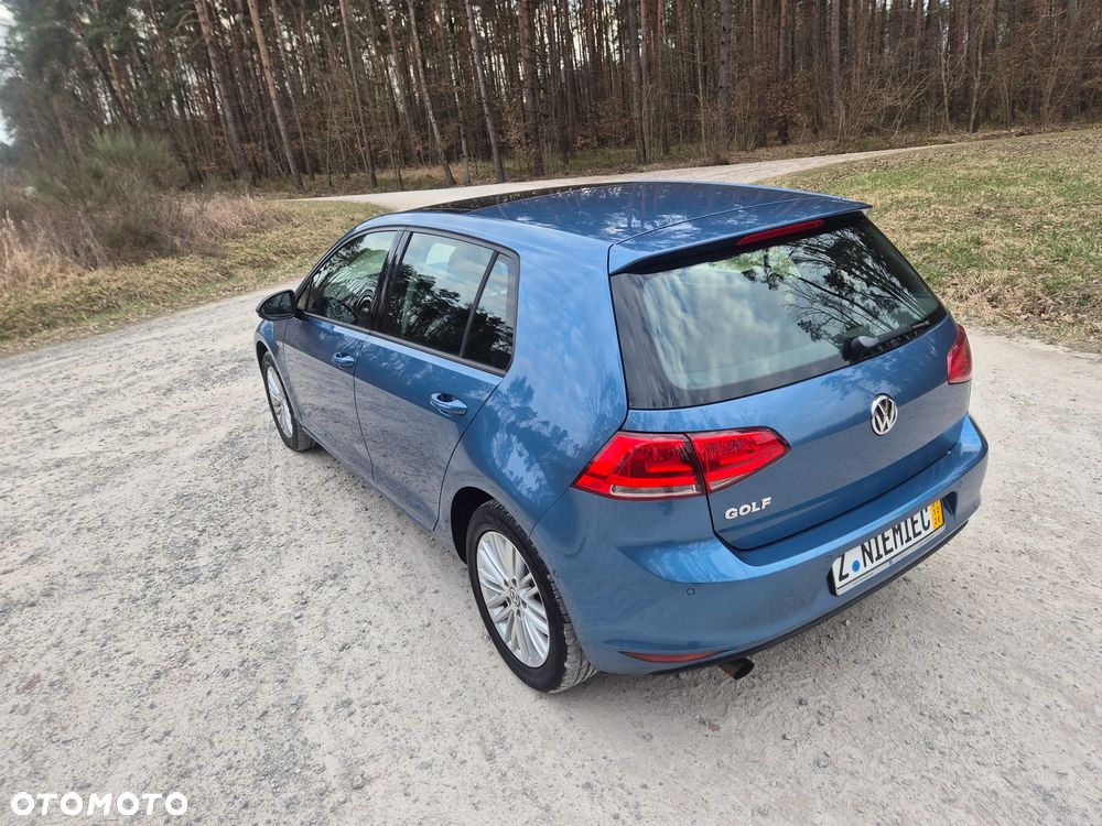 Volkswagen Golf - 21