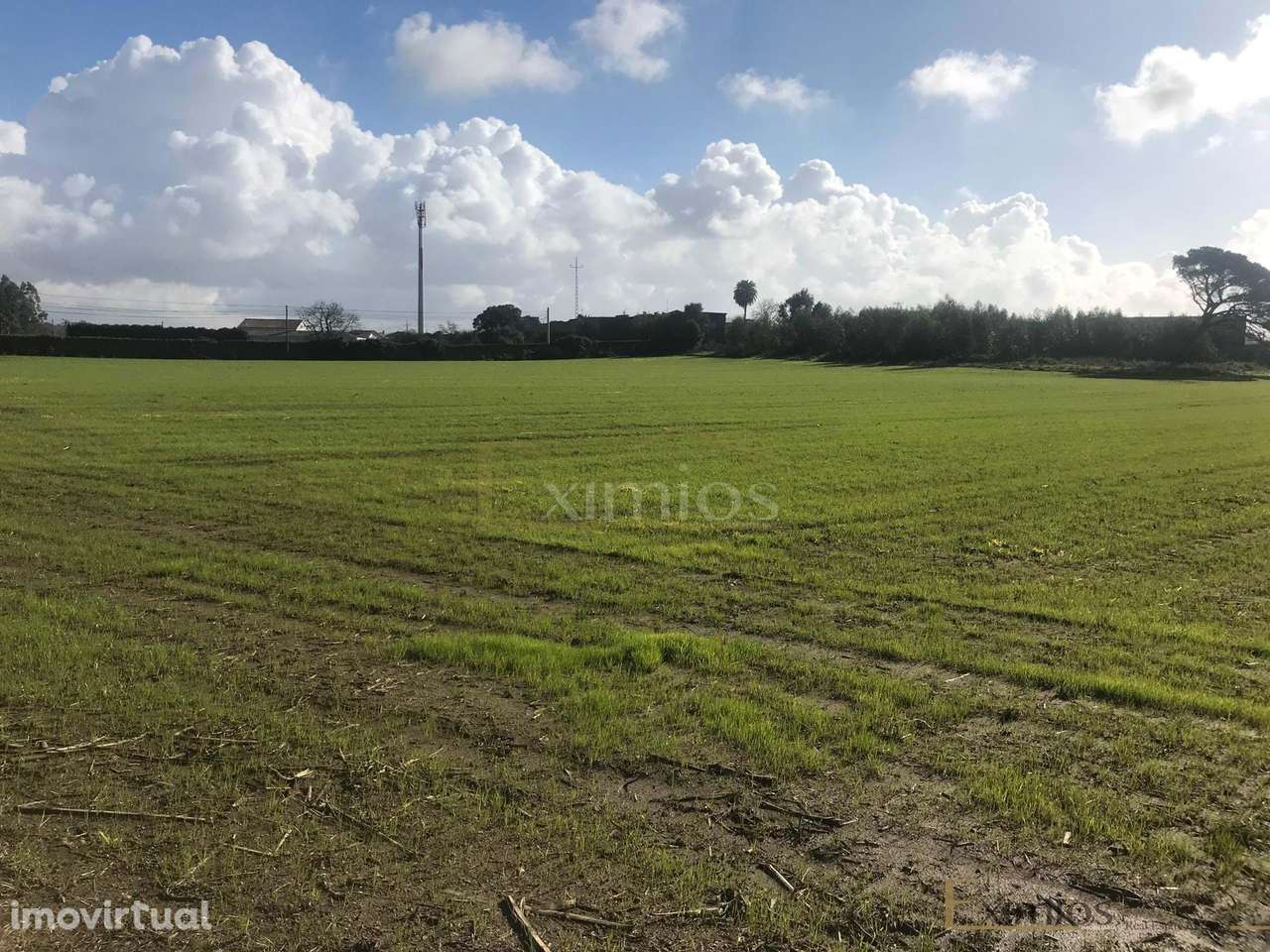 Terreno para construção, em Beiriz - Grande imagem: 2/12